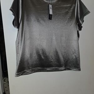 Banana Republic Shimmering Silver Short Sleeve Top